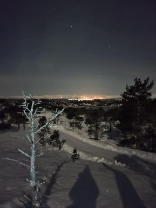 Koselig Og Moderne Leilighet, Meget Sentralt I Narvik Med Gratis Parkering! Exterior photo