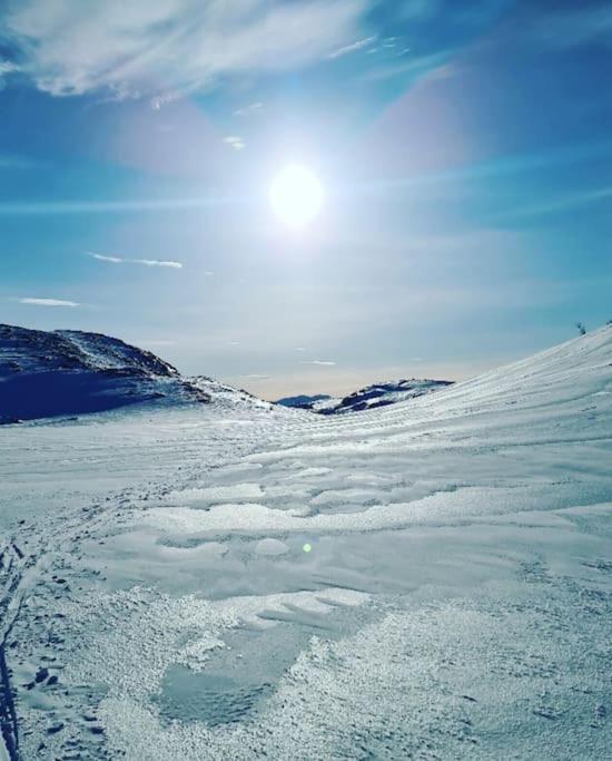 Koselig Og Moderne Leilighet, Meget Sentralt I Narvik Med Gratis Parkering! Exterior photo